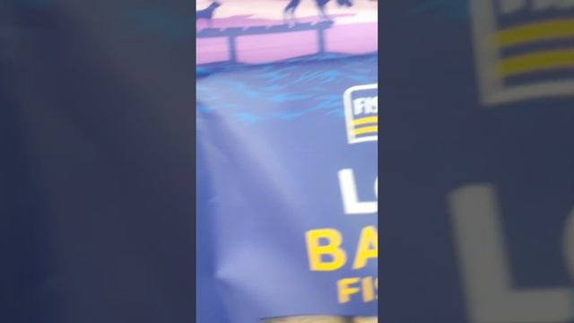 dog treat fish4dogs | healthy treat for your pet, gum and care | petcare | puppy | dog training | смотреть онлайн