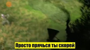 нашли видео про черноголовый клип компота😵