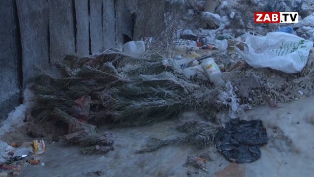 Чиновники- шатуны проснулись в разгар зимы смотреть онлайн