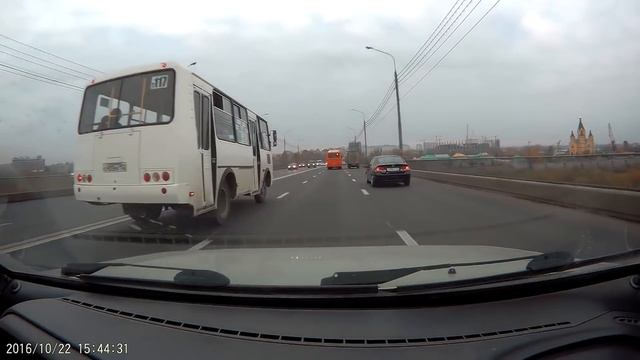 ОБОЧЕЧНИКИ И ВОДЯТЛЫ