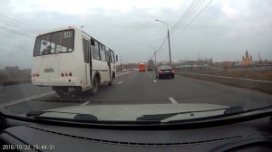 ОБОЧЕЧНИКИ И ВОДЯТЛЫ