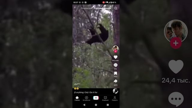 смешные животные часть 2 смотреть онлайн