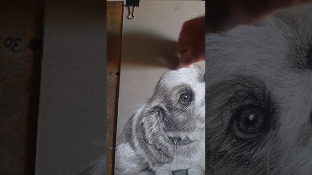 Sketch a puppy dog with two charcoal chalk