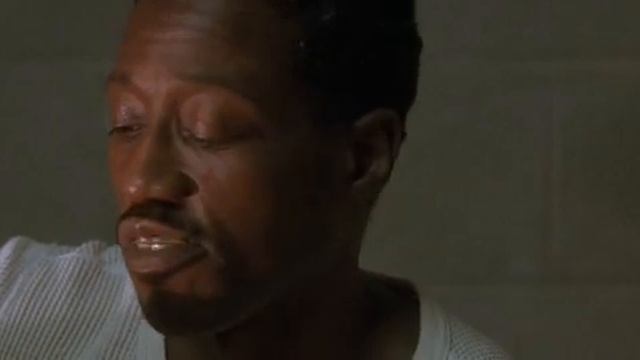 Боксер-стоик смотреть онлайн