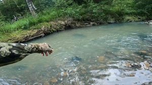 Забытые реки. Моменты 2024 года.