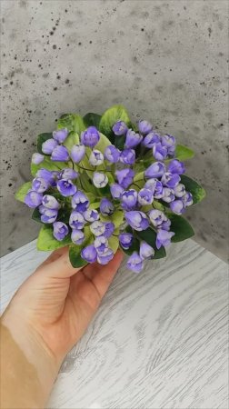Фиалка Н-Аватар