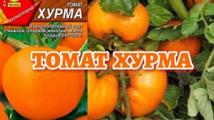 Томаты Хурма