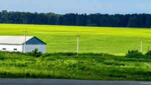 Село Скарюпино, Барачаты - и просторы - ч 3