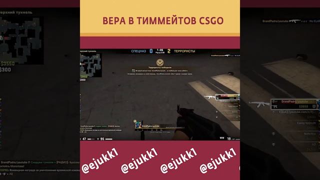 ВРЕА В АДЕКВАТНЫХ ТИММЕЙТОВ CSGO #cs  #ксгоприколы #csgoclips #csgo #ксго #csgolive #short #shorts