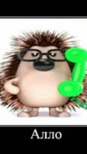 Звонок с Тинькова и пьяные бегемотики !