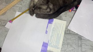 Как сделать лапку из бумаги,туториал на лапку,туториал на сквиш💋
