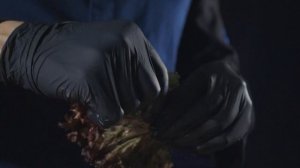 Салат с ростбифом приготовление