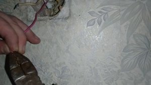 Как заменить старый выключатель на новый БЕЗ ЗНАНИЯ ЭЛЕКТРИКИ ?
