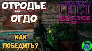 Как победить Отродье Оггдо в Star Wars Jedi Survivor? Стойка с бластером