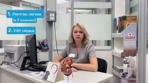 Опухоли молочных желез у животных⚕️. Рекомендации ветеринарного врача Лизуновой Ирины Николаевны