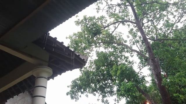 Heavy rain sounds for sleeping, rain sounds for sleeping in village for sleeping in village смотреть онлайн