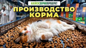 КАК ДЕЛАЮТ КОРМ ДЛЯ ПИТОМЦЕВ: Заглянем на завод Алейскзернопродукт! (Часть 1)