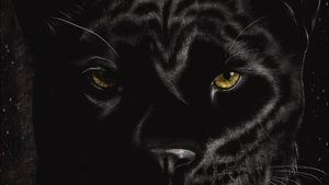 Рисунок цифровой чёрная пантера