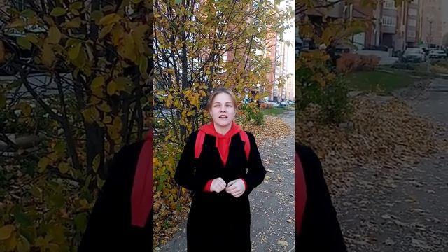 отзыв клиента о работе агента Чернышова Анна.