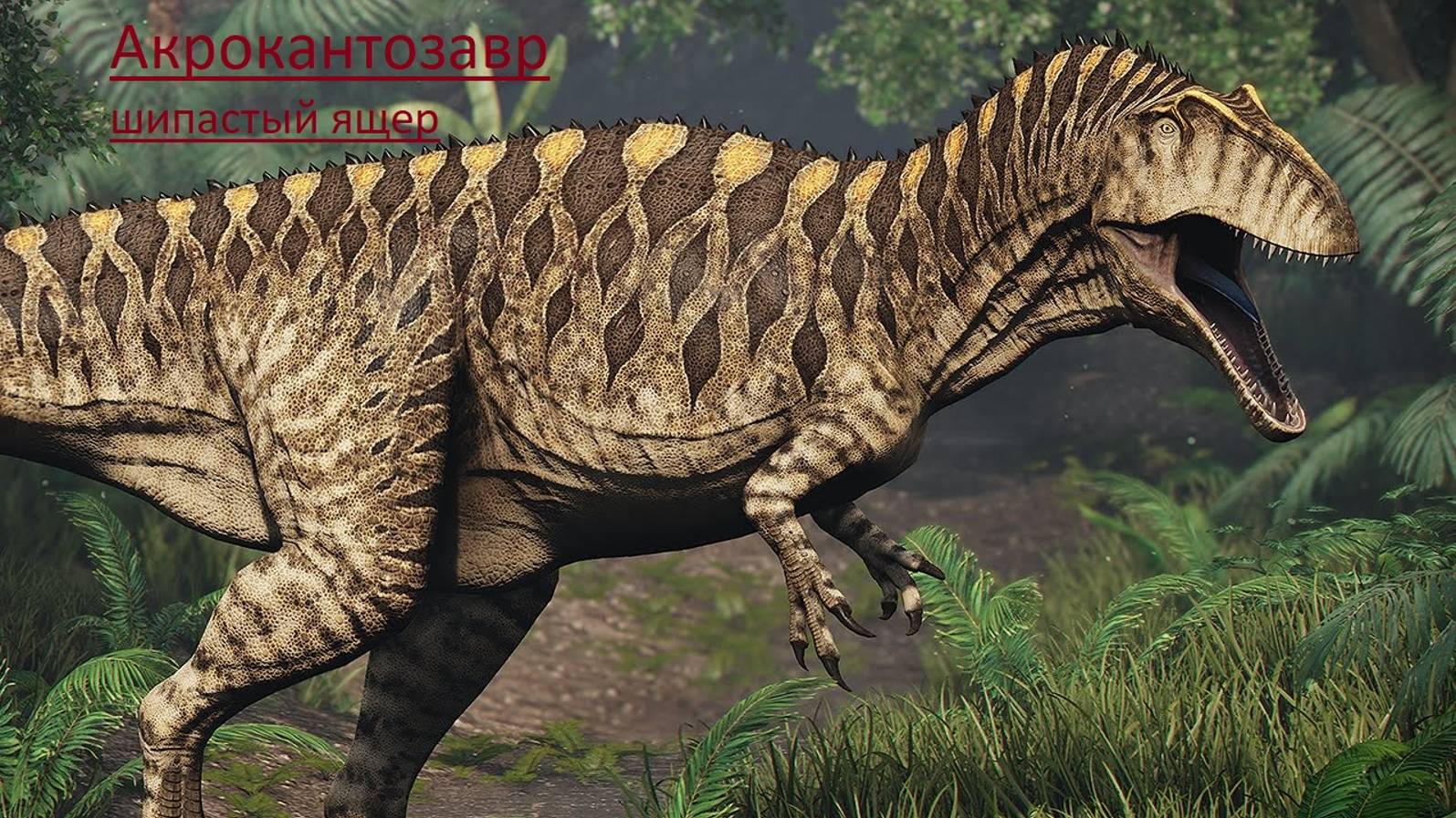 Акрокантозавр-шипастый ящер. смотреть онлайн