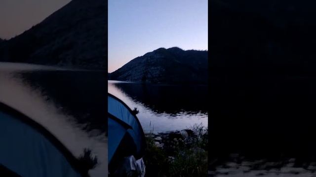 Немного дорзовской психоделики летним вечерком