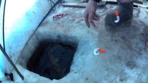 рыбалка на Амуре 5.01.25