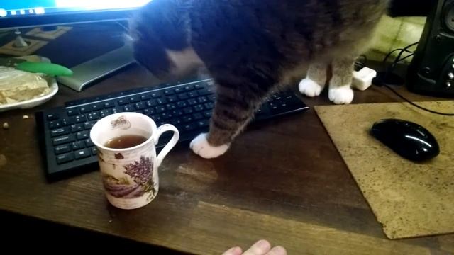 Хавла смотреть онлайн