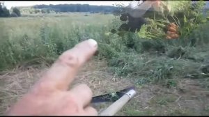 В ЗЮЗЮ ПЬЯНАЯ  прикольн