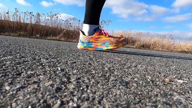 Asics Noosa Tri 15 - Nowy Rok i nowy lider rankingu?  recenzja