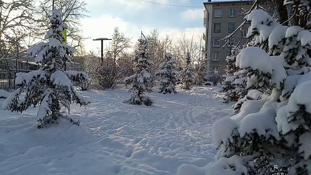 Video.Guru_20250104_143325596.mp4