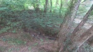 ОПАСНАЯ ДОРОГА НА АЙ-ПЕТРИ. Крым. Едем на поиски места под палатку Ялта . Большой каньон Крыма.