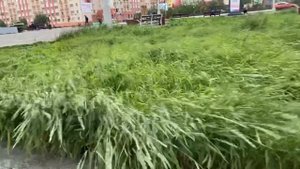 Норильск/Готовимся к зиме/За сколько можно в Норильске купить зимнюю одежду/ул.Ленинградская.