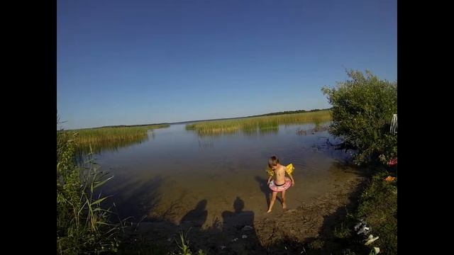 эволюция тела