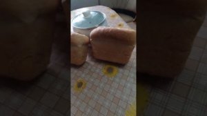 Домашний Хлеб за 4 часа в Духовке! Мой Золотой Стандарт Рецепт.