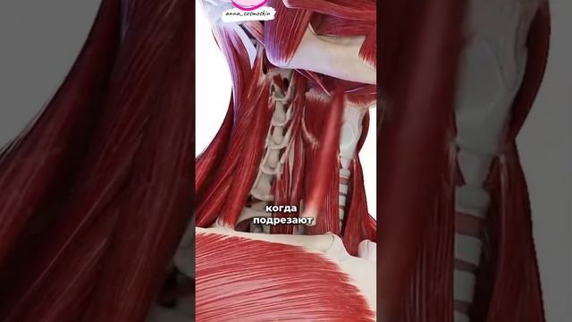 Как омолодить шею , декольте #дряблаякожа #морщиныналице #морщиныналбу #обучениекосметологов