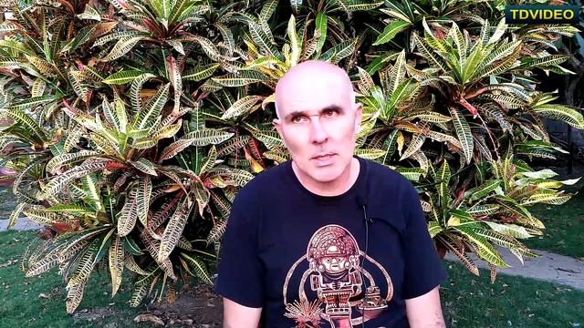 Земля для сельского хозяйства в Эквадоре. #98 смотреть онлайн