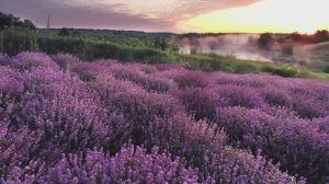 Сиреневый день. Нежная музыка для души.