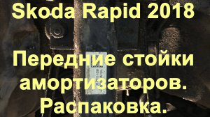 Skoda Rapid 2018. Передние стойки амортизаторов. Распаковка.