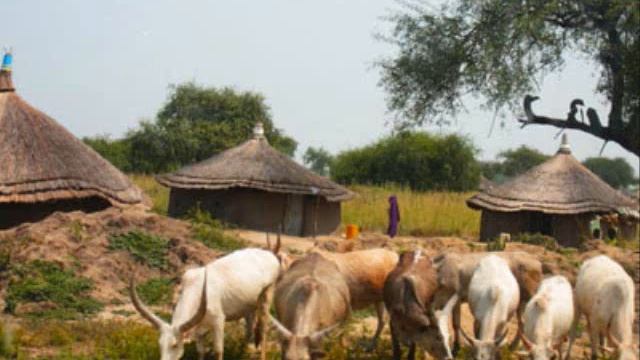 AYOOR KUCH ALIER (DINKA BOR - DƐƐR) 2/3 смотреть онлайн