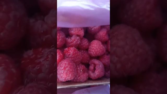 Raspberry