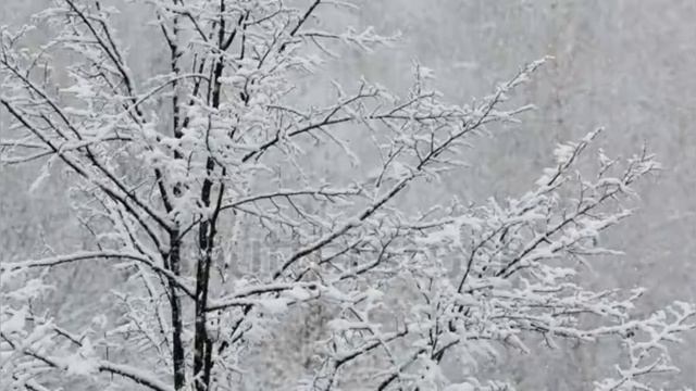 Снег кружится, летает, летает ❄️❄️❄️❄️❄️❄️❄️ смотреть онлайн