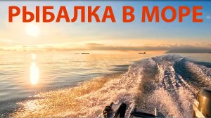 Рыбалка на Чёрном море. Ловля ставриды, пеламиды и луфаря. Кабардинка