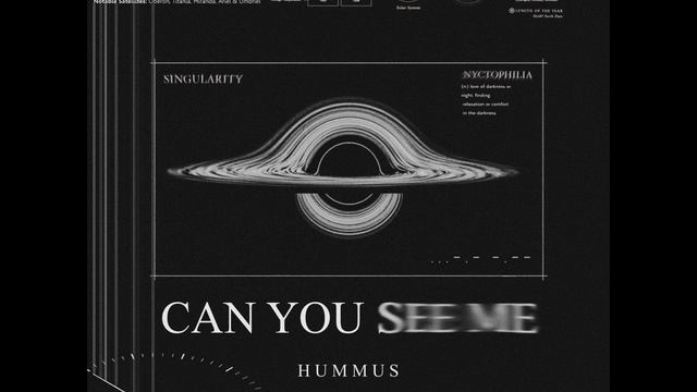 HUMMUS - Can You See Me смотреть онлайн