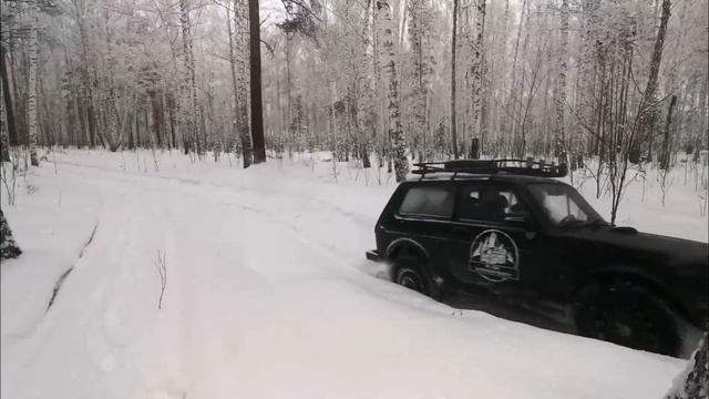 Зимняя "ВЫЛАЗКА" 2023