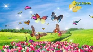 Ёсин сураси бойлик, барака, бахт, соглик дуоси  Уй ичини тозалайди