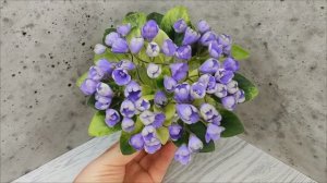 Фиалка Н-Аватар
