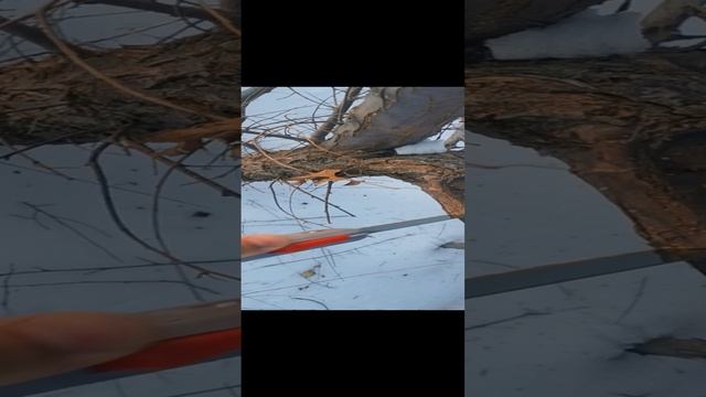 Складные ножовки Total и Finland - пилим ветки.