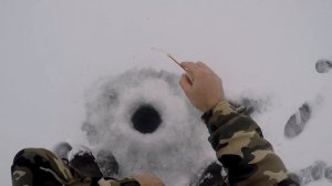 Ловля окуня на мормышку.
Ищу и ловлю окуня