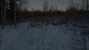 Loncin xwolf 700 mud...что не отдых, то активный!