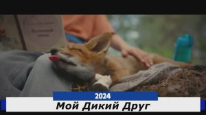 Мой Дикий Друг Трейлер